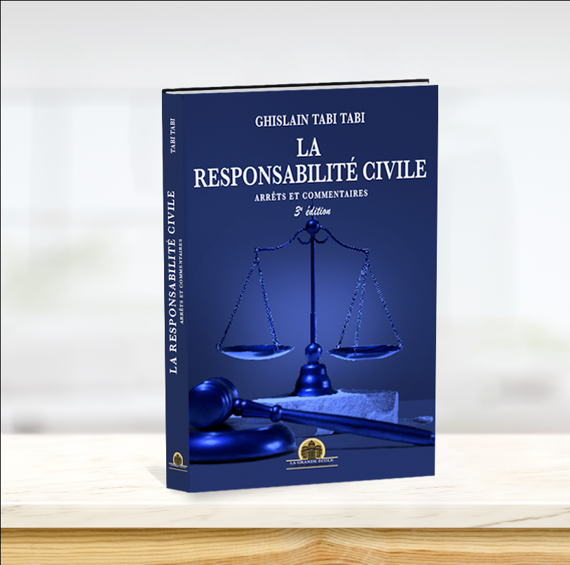 La responsabilité civile: arrêts et commentaires, 3e éd.